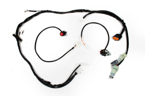 Beta 2 Stroke Race Wire Loom, 2020+ AB-22050-2