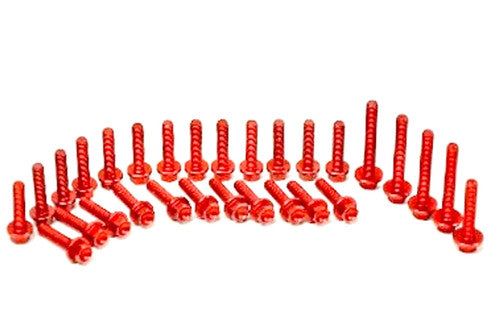 Beta Red Aluminum Engine Bolt Kit 2013+ 2-stroke AB-10125-2